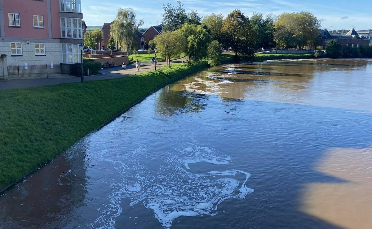 call-to-come-clean-on-river-exe-pollution-exeter-green-party